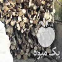 فروش چوب انجیر در تهران در گروه خرید فروش عمده چوب- زغال چوب گردو تبریزی خام در یکمیوه