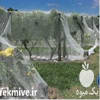 فروش توری ضد سرما با بهترین کیفیت در تهران در گروه خرید فروش انواع پوشش ها و ورق ها - پلی استر پلی کربنات نایلون در یکمیوه