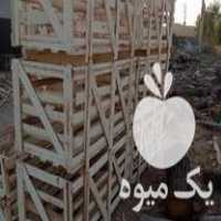 فروش پالت چوبی در شیراز در گروه خرید فروش بسته بندی چوبی - جعبه باکس آجیل زعفران در یکمیوه