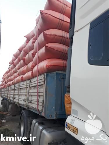 فروش پخش کاه گندم در کرمان  در گروه خوراک دام و طیور - پرواری شیری علوفه یونجه در یکمیوه -عکس1