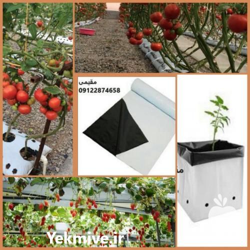 فروش کیسه کشت هیدروپونیک در تهران در گروه خرید فروش بسته بندی نایلونی - کیسه نایلکس مشما پلاستیک در یکمیوه -عکس1