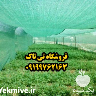 فروش توری محافظ گلخانه  در تهران در گروه خرید فروش انواع پوشش ها و ورق ها - پلی استر پلی کربنات نایلون در یکمیوه -عکس1