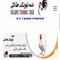 قیمت فروش جوجه یکروزه گوشتی  در تهران در گروه مرغ و خروس و بوقلمون و اردک قو قاز در یکمیوه