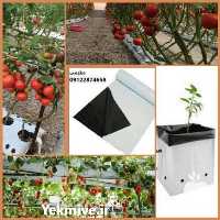 فروش کیسه کشت هیدروپونیک در تهران در گروه خرید فروش بسته بندی نایلونی - کیسه نایلکس مشما پلاستیک در یکمیوه