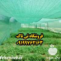 فروش توری محافظ گلخانه  در تهران در گروه خرید فروش انواع پوشش ها و ورق ها - پلی استر پلی کربنات نایلون در یکمیوه
