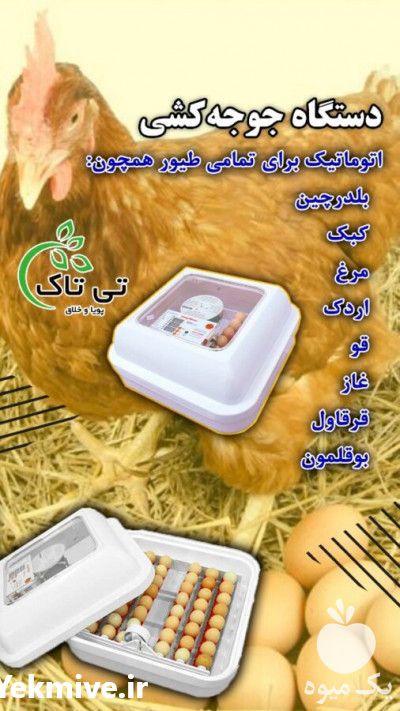 فروش دستگاه جوجه کشی در تهران در گروه تجهیزات دام و طیور - خرید فروش نو دسته دوم در یکمیوه -عکس1