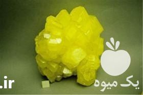 فروش اصلاح و تقویت خاک قلیایی با کود مناسب در تهران در گروه خرید فروش کود و مواد شیمیایی - اوره پتاس مرغی کمپوست آهن در یکمیوه -عکس1