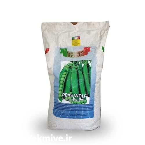 فروش بذر باقلا مایسا وارداتی در کرمان  در گروه خرید فروش بذر - انواع محصول کشاورزی گوجه کتان میوه درخت در یکمیوه -عکس1