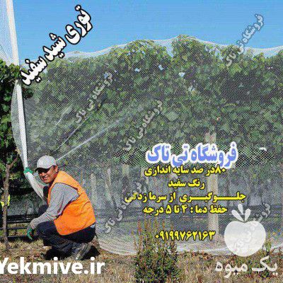 فروش توری شید ضد سرما در تهران در گروه خرید فروش انواع پوشش ها و ورق ها - پلی استر پلی کربنات نایلون در یکمیوه -عکس1