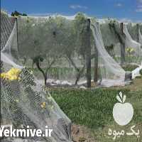 فروش توری ضد تگرگ ارزان در تهران در گروه خرید فروش انواع پوشش ها و ورق ها - پلی استر پلی کربنات نایلون در یکمیوه