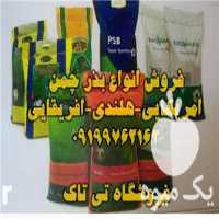 فروش بذرچمن هلندی در تهران در گروه خرید فروش ابزار ها و تجهیزات کشاورزی - دستی برقی ماشینی بیل کلنگ در یکمیوه