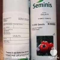 فروش و توزیع بذر گوحه فرنگی اولا در تهران در گروه خرید فروش بذر - انواع محصول کشاورزی گوجه کتان میوه درخت در یکمیوه