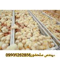 فروش تخم نطفه دار راس گوشتی در کرمان  در گروه انواع تخم ها - مرغ بوقلمون پرنده عمده کشاورزی در یکمیوه