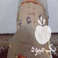 فروش و دوخت پالون اسب باری و سواری در مازندران در گروه اسب و الاغ خر و فروش قاطر- ترکمن عربی سفید نر و ماده در یکمیوه