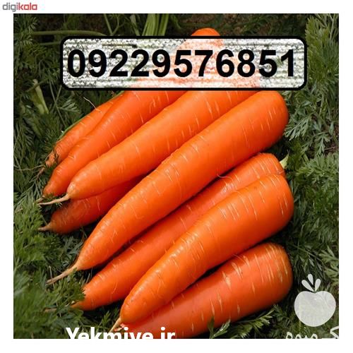 فروش عمده بذر هویج لیدر F 1 در اردبیل در گروه میوه های خشک - پرتقال سیب حبه ورق صنعتی خانگی در یکمیوه -عکس1