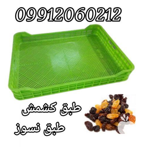 فروش سبد طبق کشمش در ارومیه در آذربایجان غربی در گروه خرید و فروش انواع سبد در یکمیوه -عکس1