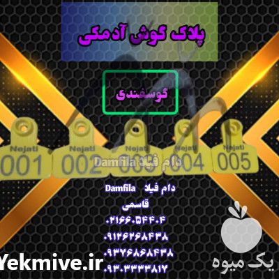 فروش پلاک گوش آدمکی گوسفندی در تهران در گروه گاو و گوسفند و میش و بز کهره گوساله سمینتال در یکمیوه -عکس1