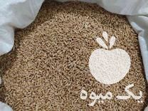 فروش گندم بذری رقم 20 در آق قلا در گروه خرید فروش عمده گندم و جو - بلغور شیرازی فروش عمده محصول کشاورزی در یکمیوه -عکس1