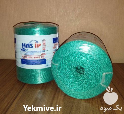 فروش عمده نخ مخصوص گلخانه در تهران در گروه خرید فروش عمده انواع گل - پروش قاشقی موسی ساکولنت بن سای در یکمیوه -عکس1