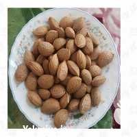 فروش نهال بادام در یزد در گروه خرید فروش نهال - انواع گردو پسته بادام سلطانی انگور در یکمیوه