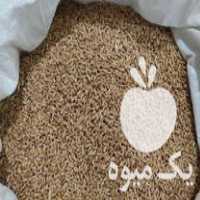 فروش گندم بذری رقم 20 در آق قلا در گروه خرید فروش عمده گندم و جو - بلغور شیرازی فروش عمده محصول کشاورزی در یکمیوه