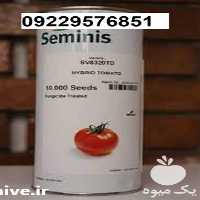 بذر گوجه فرنگی 8320 اصل در اصفهان در گروه خرید فروش بذر - انواع محصول کشاورزی گوجه کتان میوه درخت در یکمیوه