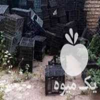 فروش سبد گوجه فرنگی در زنجان در گروه خرید فروش انواع سبد - میوه پلاستیکی چوبی گل در یکمیوه