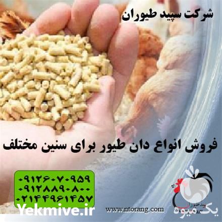 فروش دان مرغ کیفیت عالی در تهران در گروه مرغ و خروس و بوقلمون و اردک قو قاز در یکمیوه -عکس1