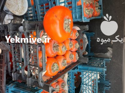 خرمالو درجه یک در ماهدشت در گروه خرید فروش عمده خرمالو - خرمالو رسیده نارس برگ عمده در یکمیوه -عکس1