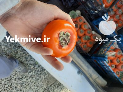 خرمالو درجه یک در ماهدشت در گروه خرید فروش عمده خرمالو - خرمالو رسیده نارس برگ عمده در یکمیوه -عکس2