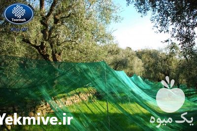 فروش توری جمع آوری محصول در مازندران در گروه خرید فروش انواع پوشش ها و ورق ها - پلی استر پلی کربنات نایلون در یکمیوه -عکس1