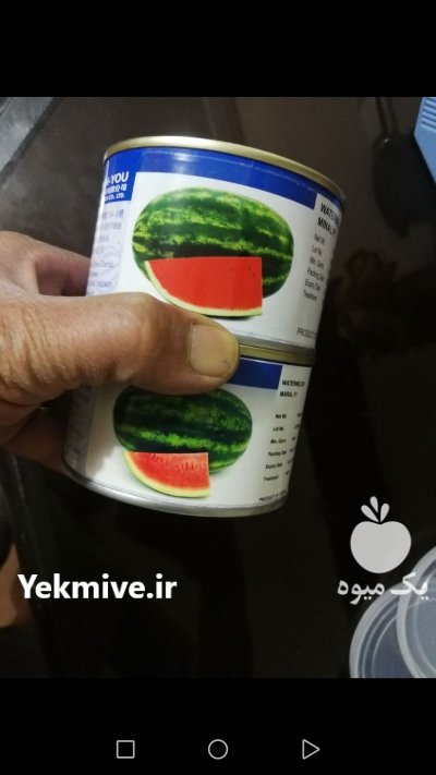 بذر هندوانه و ملون و خیار در یزد در گروه خرید فروش بذر - انواع محصول کشاورزی گوجه کتان میوه درخت در یکمیوه -عکس1