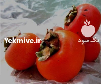 فروش خرمالو درجه یک در گرمدره در گروه خرید فروش عمده خرمالو - خرمالو رسیده نارس برگ عمده در یکمیوه -عکس1