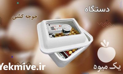 فروش دستگاه جوجه کشی در تهران در گروه تجهیزات دام و طیور - خرید فروش نو دسته دوم در یکمیوه -عکس1