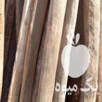 خرید چوب درخت قلمه بید در اردبیل در گروه خرید فروش عمده چوب- زغال چوب گردو تبریزی خام در یکمیوه