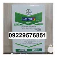 فروش قارچ کش ناتیوو در خوزستان در گروه خرید فروش کود و مواد شیمیایی - اوره پتاس مرغی کمپوست آهن در یکمیوه