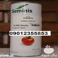 قیمت بذر گوجه فرنگی 8320 در تهران در گروه خرید فروش بذر - انواع محصول کشاورزی گوجه کتان میوه درخت در یکمیوه