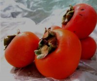 فروش خرمالو درجه یک در گرمدره در گروه خرید فروش عمده خرمالو - خرمالو رسیده نارس برگ عمده در یکمیوه