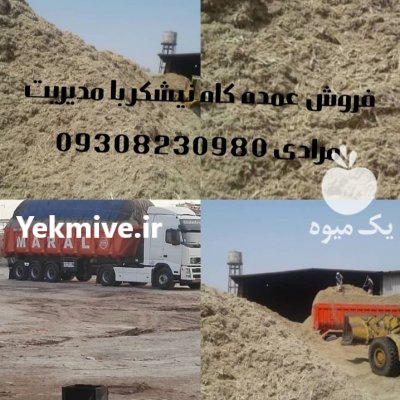 فروش قیمت باگاس تفاله (کاه نیشکر) در اهواز در گروه نهاده ها دام و طیور در یکمیوه -عکس1