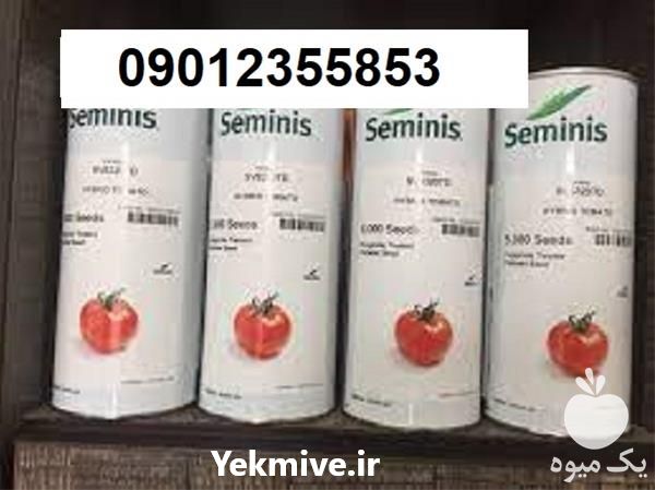 بذر گوجه فرنگی 8320 پرفروش در کرمان  در گروه خرید فروش بذر - انواع محصول کشاورزی گوجه کتان میوه درخت در یکمیوه -عکس1