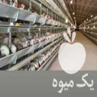 فروش مرغداری گلخانه در اصفهان در گروه تجهیزات دام و طیور - خرید فروش نو دسته دوم در یکمیوه