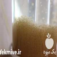 فروش انواع ماهیان تزئینی در تهران در گروه انواع ماهی - سالمون شیر کپور قرمز شوریده سفید گوپی مرکب در یکمیوه