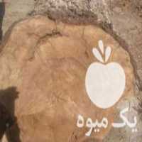 فروش ابر درخت گردو تنه در شبستر در آذربایجان شرقی در گروه خرید فروش عمده چوب- زغال چوب گردو تبریزی خام در یکمیوه