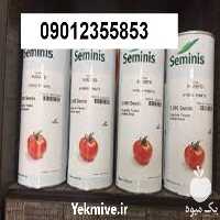 بذر گوجه فرنگی 8320 پرفروش در کرمان  در گروه خرید فروش بذر - انواع محصول کشاورزی گوجه کتان میوه درخت در یکمیوه