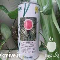 قیمت خرید بذر هندوانه کلوز در کرمان  در گروه خرید فروش بذر - انواع محصول کشاورزی گوجه کتان میوه درخت در یکمیوه