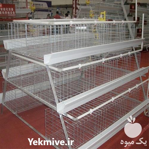 فروش قفس نیمه اتوماتیک مرغ تخم گذار در تهران در گروه مرغ و خروس و بوقلمون و اردک قو قاز در یکمیوه -عکس1