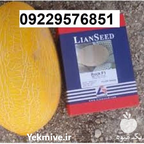 بذر خربزه راک پرفروش و اصل در تهران در گروه خرید فروش عمده خربزه - مشهدی درختی ایوانکی شاهپسند در یکمیوه -عکس1