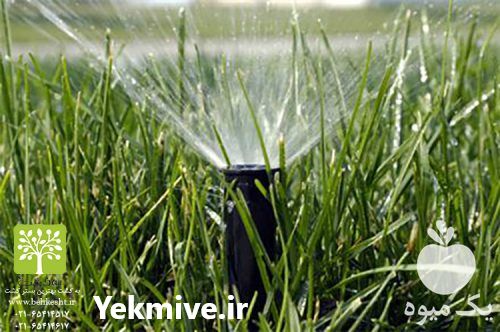 فروش تجهیزات انواع آبیاری قطره ای و بارانی در تهران در گروه خرید فروش اتصالات و تجهیزات آبیاری - شیر لوله نوار در یکمیوه -عکس1