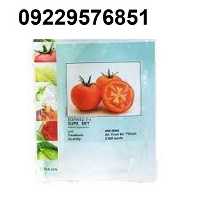 فروش بذر گوجه فرنگی ساکاتا اصل در خراسان جنوبی در گروه خرید فروش بذر - انواع محصول کشاورزی گوجه کتان میوه درخت در یکمیوه