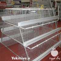فروش قفس نیمه اتوماتیک مرغ تخم گذار در تهران در گروه مرغ و خروس و بوقلمون و اردک قو قاز در یکمیوه